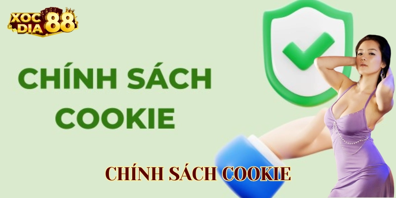 Chính sách Cookie có gì đặc biệt 