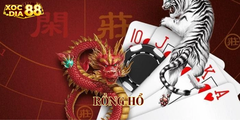 Rồng Hổ là gì? 