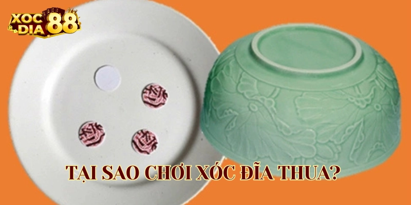 Tại Sao Chơi Xóc Đĩa Thua lý do là gì