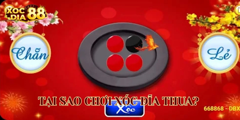 Tại Sao Chơi Xóc Đĩa Thua?